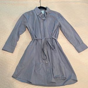 SOLD American Apparel Shirt Dress